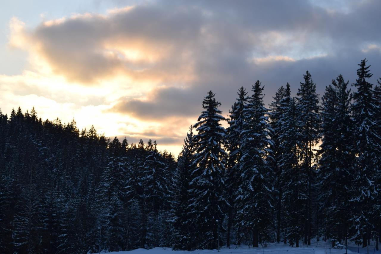 Grand Harrachov Pension V Centru Bagian luar foto