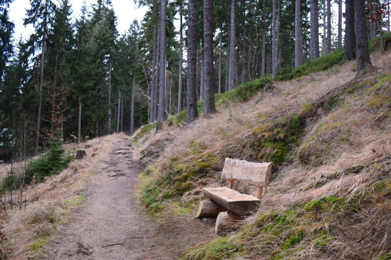 Grand Harrachov Pension V Centru Bagian luar foto