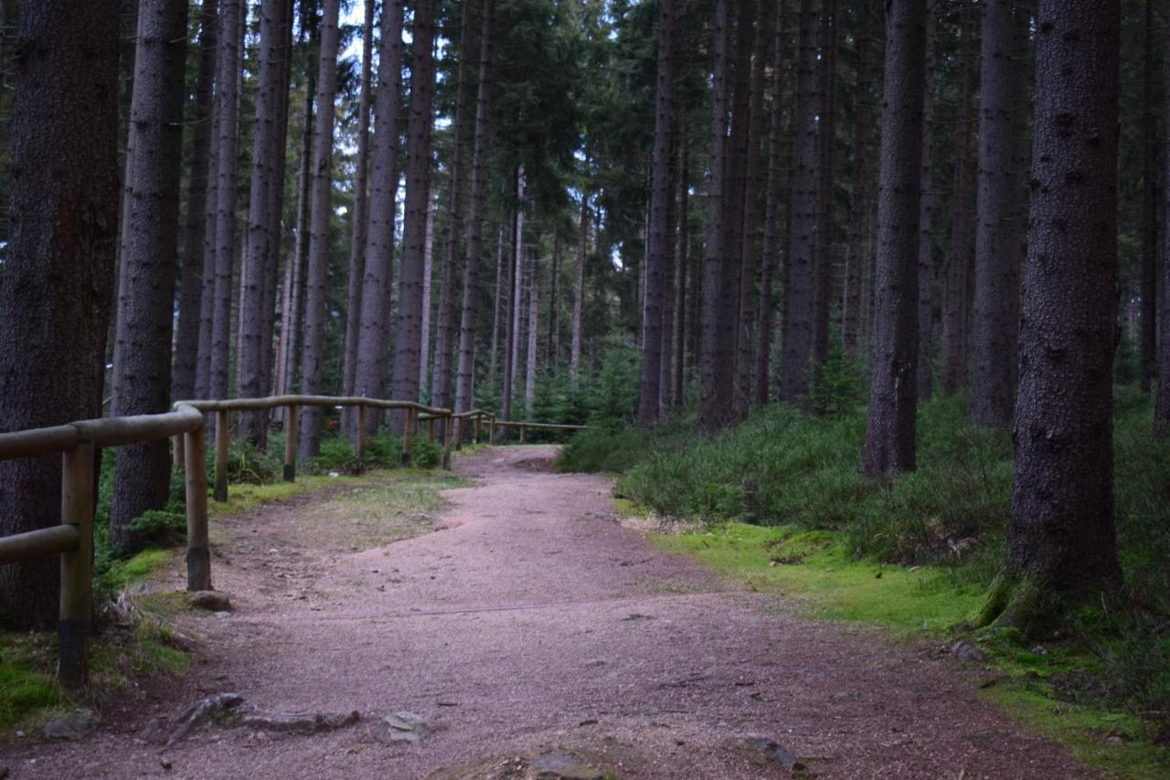 Grand Harrachov Pension V Centru Bagian luar foto