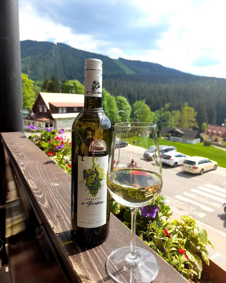 Grand Harrachov Pension V Centru Bagian luar foto